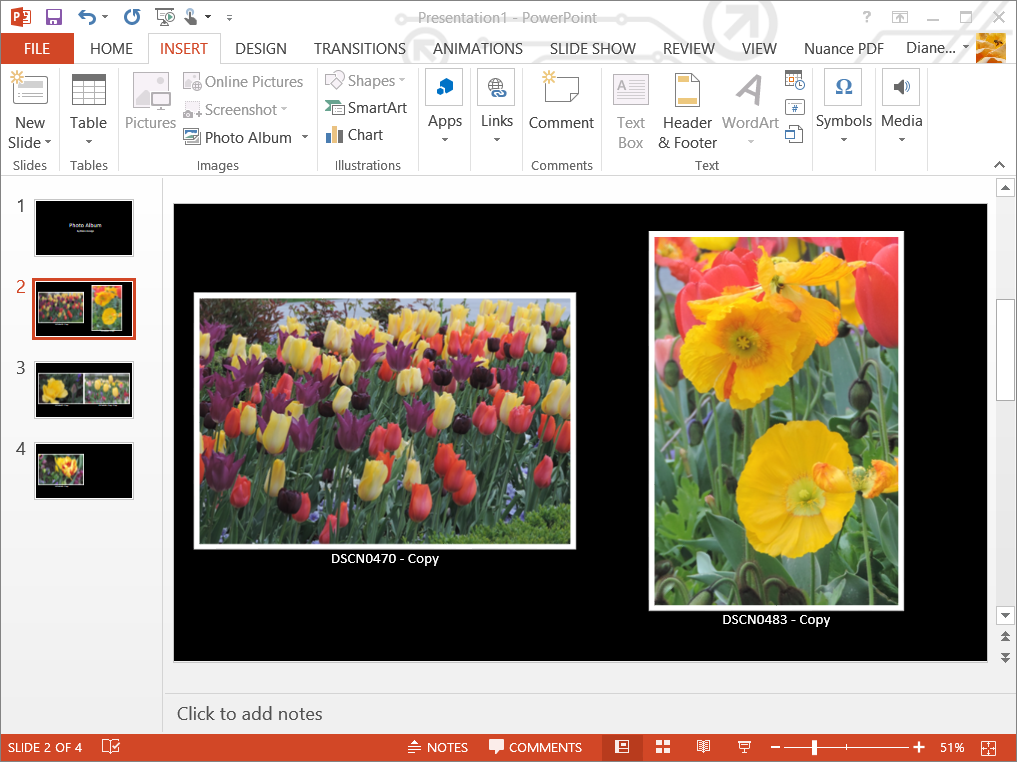 Photo Album created in PowerPoint